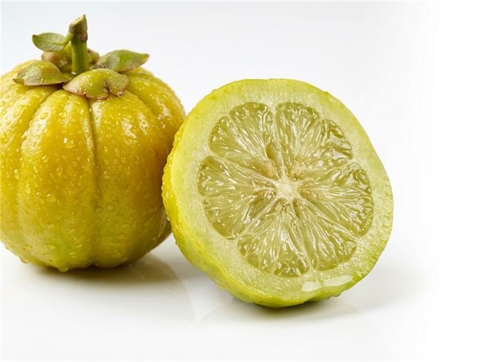 Garcinia cambogia brindle berry-vrucht gebruikt in Hinuki jelly sticks